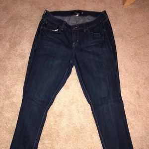 Torrid Denim Skinny Jean